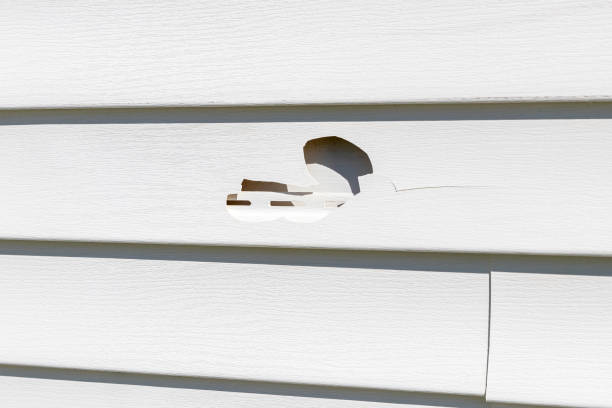 Siding Installation & Repair