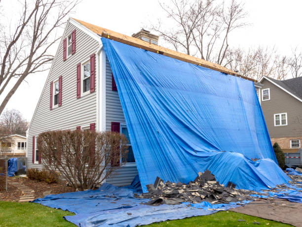 Best Vinyl Siding Installation  in Mount Vernon, IA