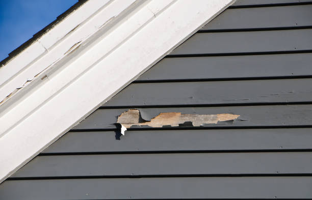  Mount Vernon, IA Siding Installation & Repair Pros