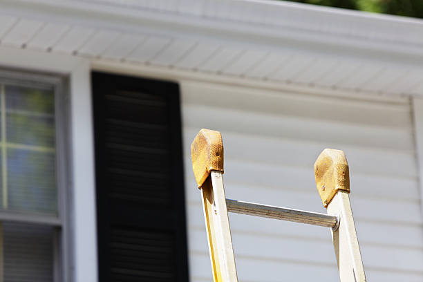 Best Storm Damage Siding Repair  in Mount Vernon, IA