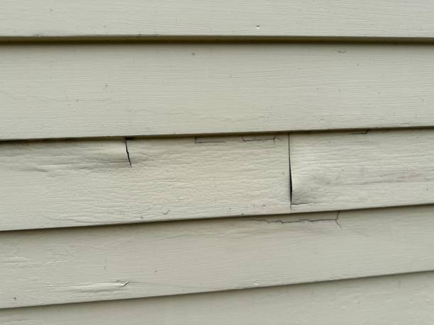 Best Steel Siding Installation  in Mount Vernon, IA